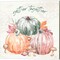 Harvest Touch A by Dina June 14" x 14" Canvas Wall Art (Set of 2)
